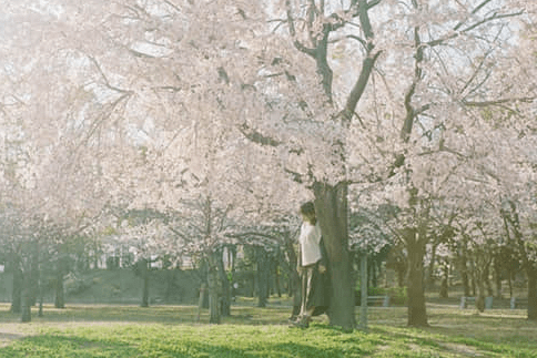 朋友圈獨一無二的經(jīng)典說說大全（60條）