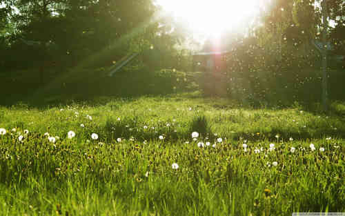 每日必看的經(jīng)典說(shuō)說(shuō)（60條）