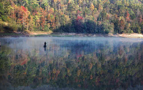 適合發(fā)空間的經(jīng)典說說大全（78條）