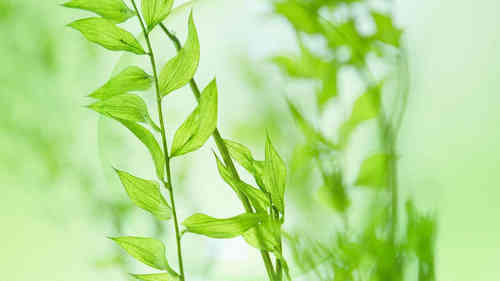 2019年適合發(fā)朋友圈的經(jīng)典說說大全（63條）