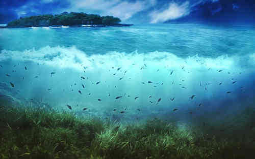 朋友圈經(jīng)典說(shuō)說(shuō)別人必評(píng)的心情說(shuō)說(shuō)（52條）