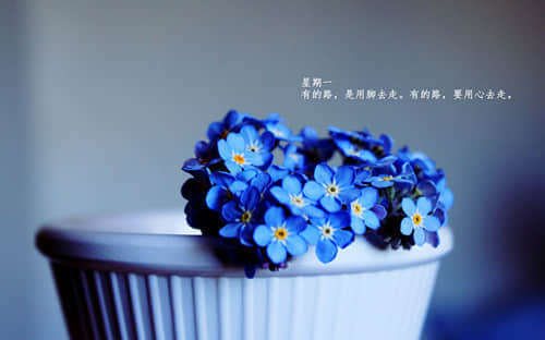 快手74句人生哲理經(jīng)典說說大全