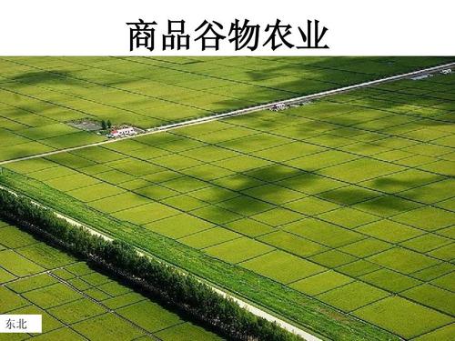 非谷物農(nóng)產(chǎn)品包括什么