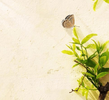 qq空間勵(lì)志的經(jīng)典說(shuō)說(shuō)（50條）