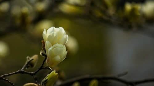 最新適合發(fā)說說的經(jīng)典句子（56條）