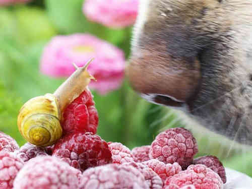 59條正能量勵(lì)志經(jīng)典句子 59條正能量勵(lì)志經(jīng)典句子