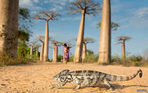 致自己的經(jīng)典勵志人生感悟說說大全(58條) 致自己的經(jīng)典勵志人生感悟說說大全(58條)