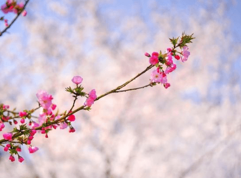 感到憂郁的空間經(jīng)典說說（71條）