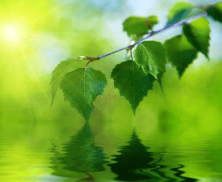 讓人忍不住點(diǎn)贊的經(jīng)典說(shuō)說(shuō)（65條）