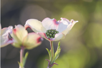 很酷超拽的經(jīng)典句子（57條）