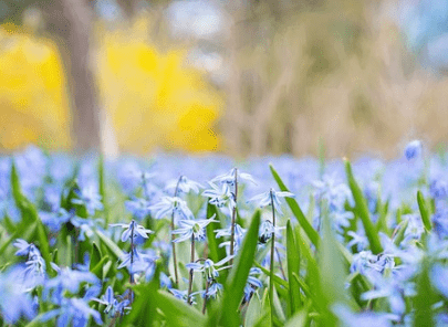 微信說(shuō)說(shuō)經(jīng)典句子大全 非主流說(shuō)說(shuō)超拽（59條）