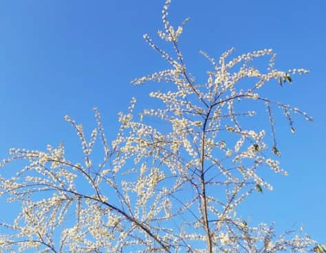 有哲理內(nèi)涵的經(jīng)典說說（47條）