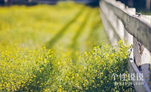 現(xiàn)實的經(jīng)典說說莫名心酸（47條）