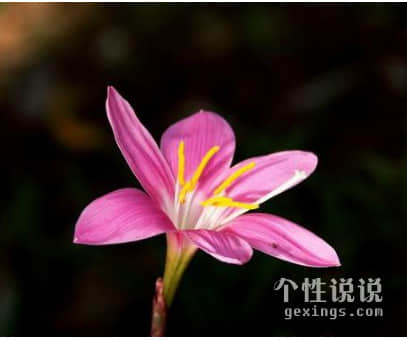 有道理有深度的經(jīng)典說(shuō)說(shuō)（44條）