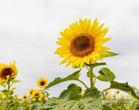 2019人生感悟的經(jīng)典說說(62條) 2019人生感悟的經(jīng)典說說(62條)