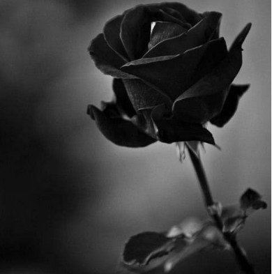 適合發(fā)朋友圈有內(nèi)涵有哲理的經(jīng)典說(shuō)說(shuō)（58句）