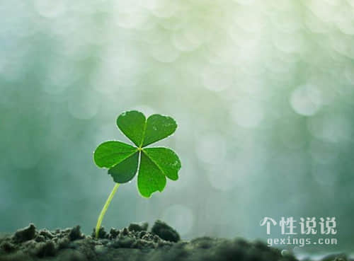 女生必看的成熟經(jīng)典說說(52條) 女生必看的成熟經(jīng)典說說(52條)