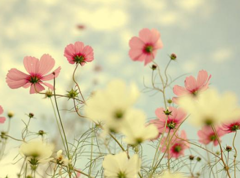 一句話心靈雞湯人生感悟的經(jīng)典說說（44條）