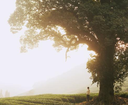 女生很流行勵(lì)志的經(jīng)典說說（45條）