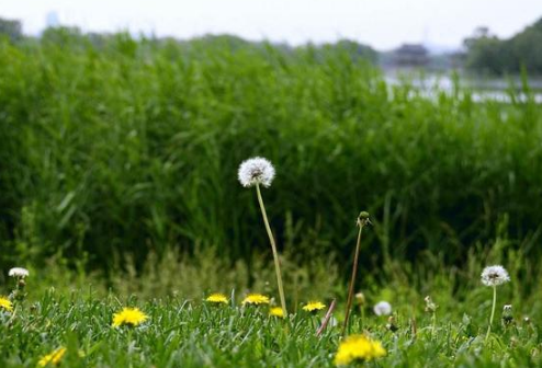 高考鼓勵自己加油的經(jīng)典說說 高考鼓勵自己加油的經(jīng)典說說