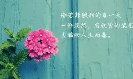 人生感悟句子經(jīng)典說說分享：哭給自己聽，笑給別人看，這就是所謂的人生