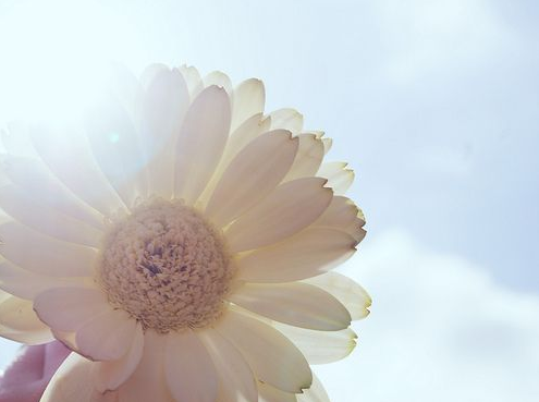 經(jīng)典哲理說說：冷眼看沉默，沉默非沉沒也非無言