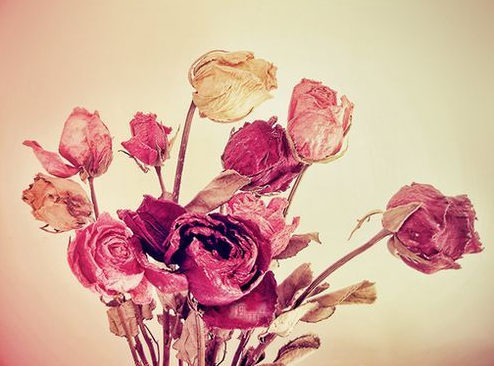 經(jīng)典哲理說說：冷眼看沉默，沉默非沉沒也非無言