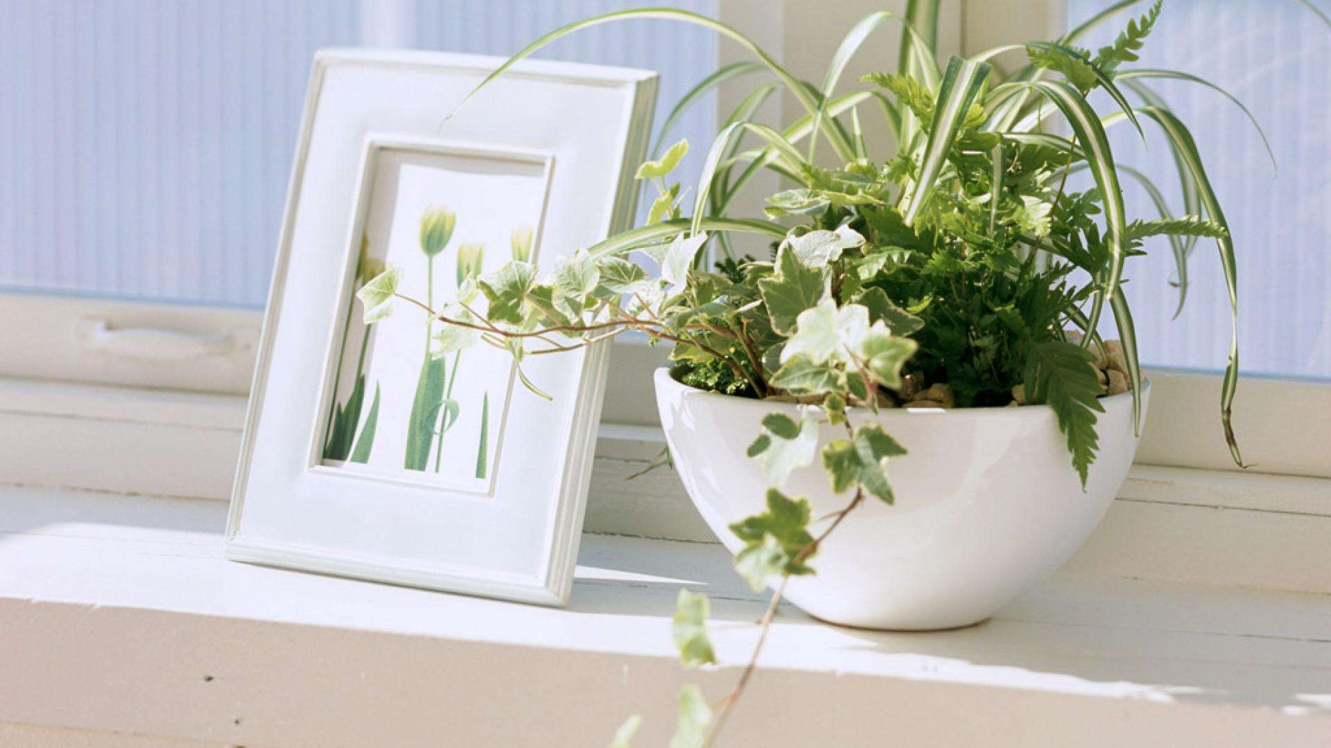 搞笑說說：我的頭像牛逼嗎？”“像！”