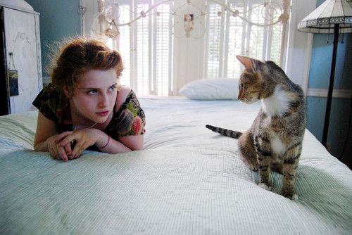 經(jīng)典說說 不要輕易去依賴一個人，它會成為你的習(xí)慣