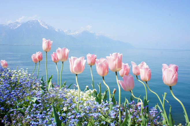 元旦的心情說說元旦說說祝福句子