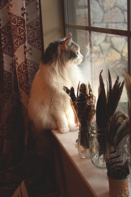 說說心情短語人生感悟 不要因為沒有掌聲而放棄自己的夢想