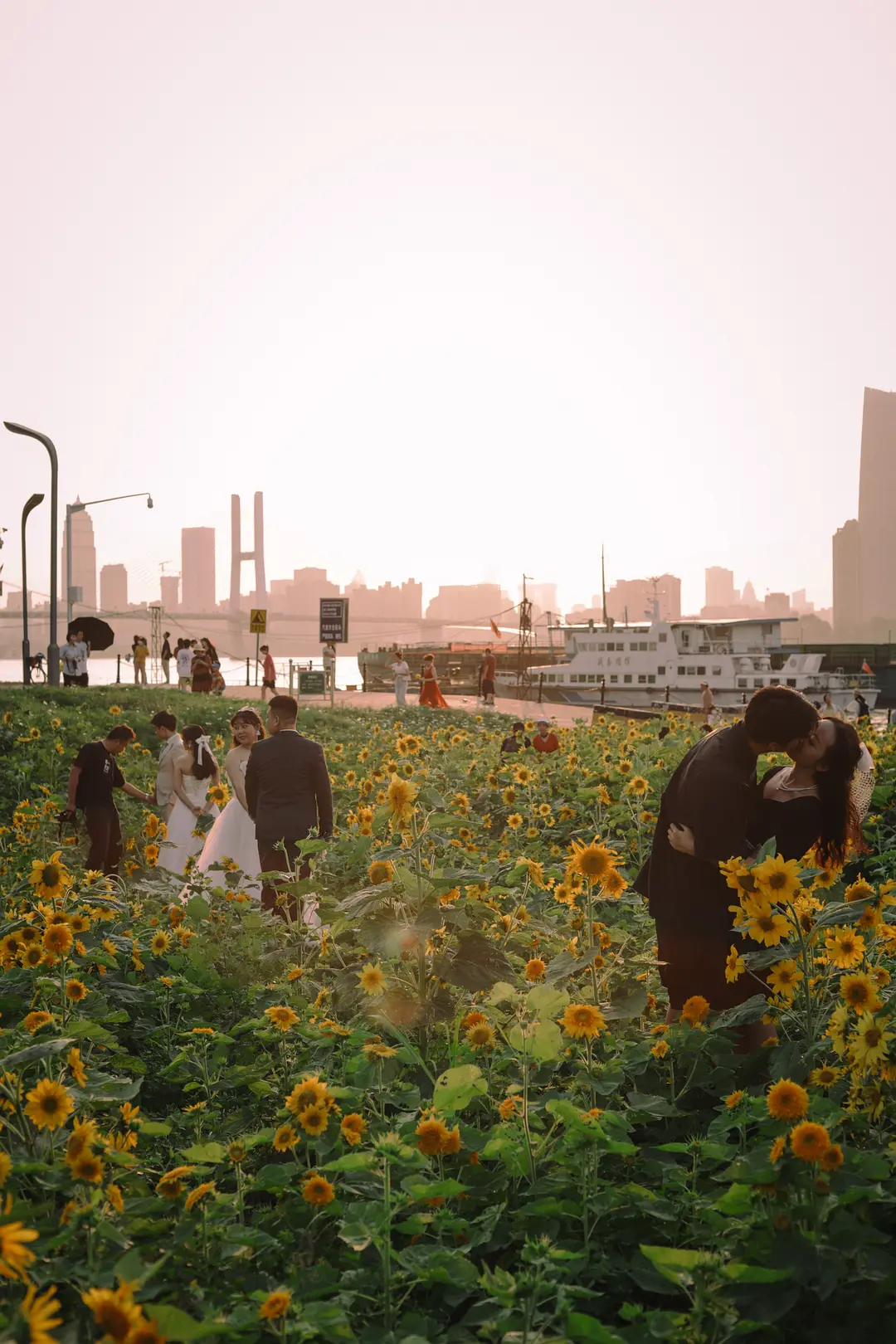 我在豆瓣里學(xué)寫文案