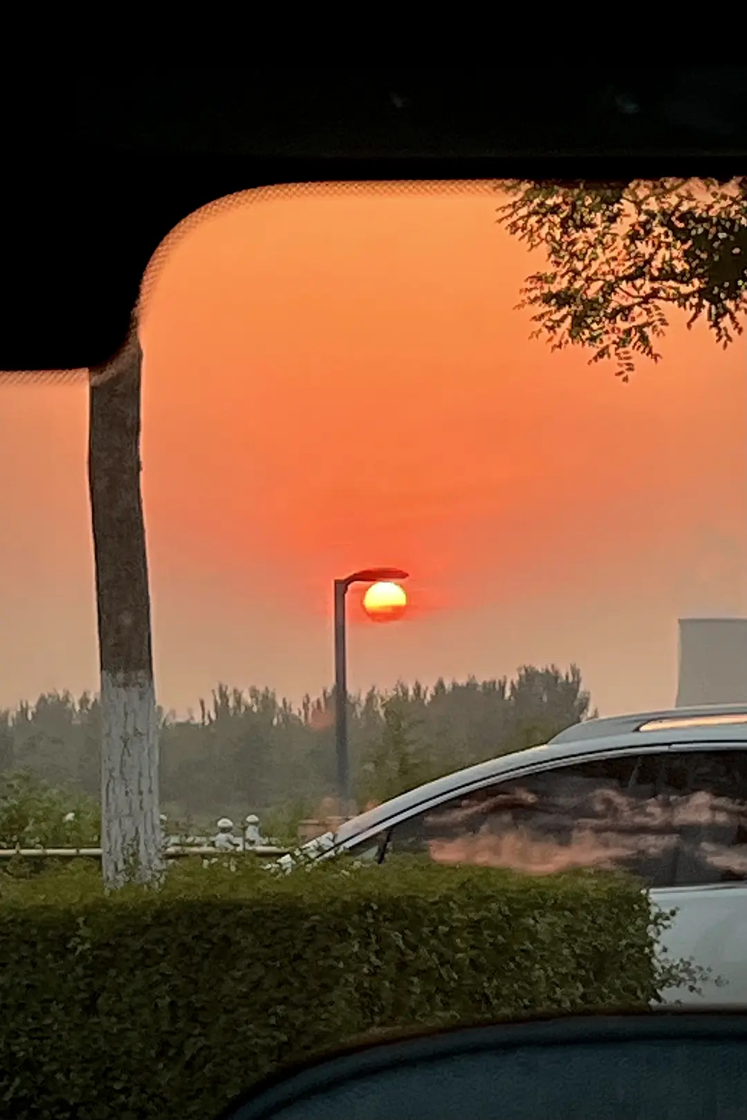 我在豆瓣里學(xué)寫文案