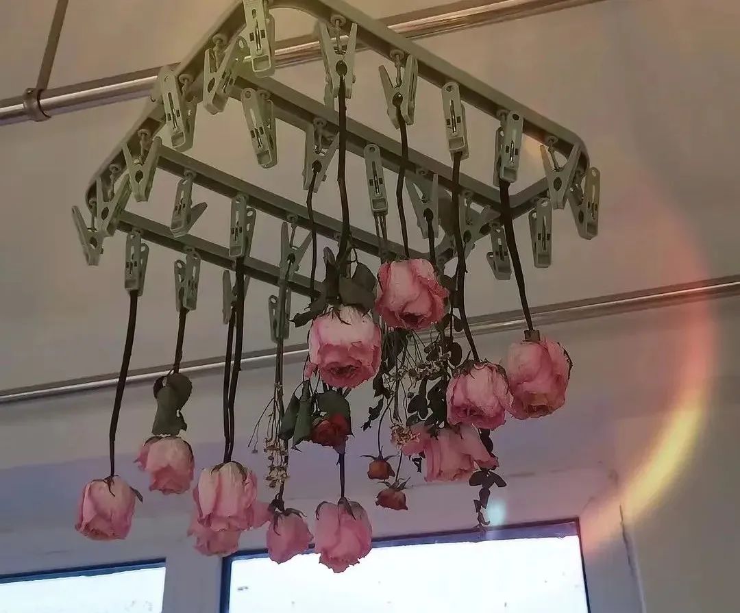 我在豆瓣里學(xué)寫文案