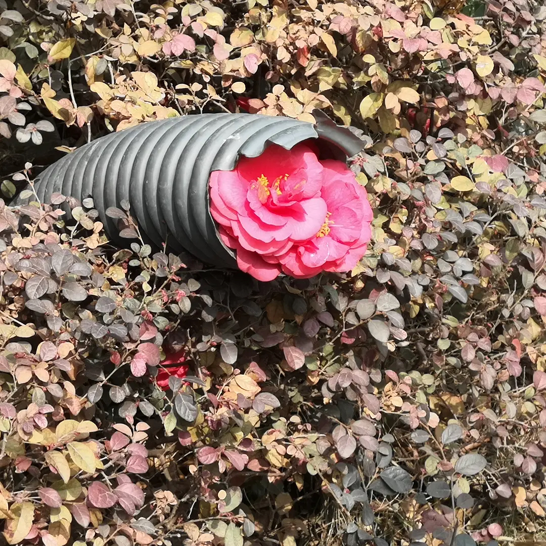 我在豆瓣里學(xué)寫文案