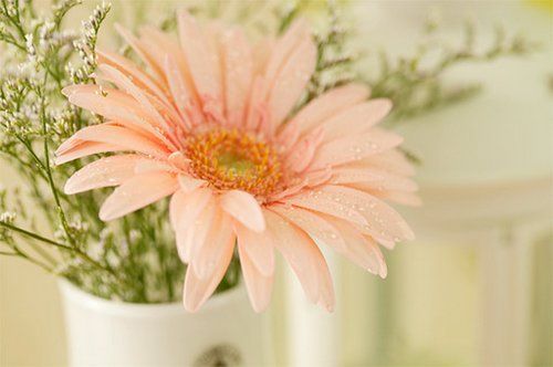 母親節(jié)適合發(fā)微信朋友圈的說(shuō)說(shuō)