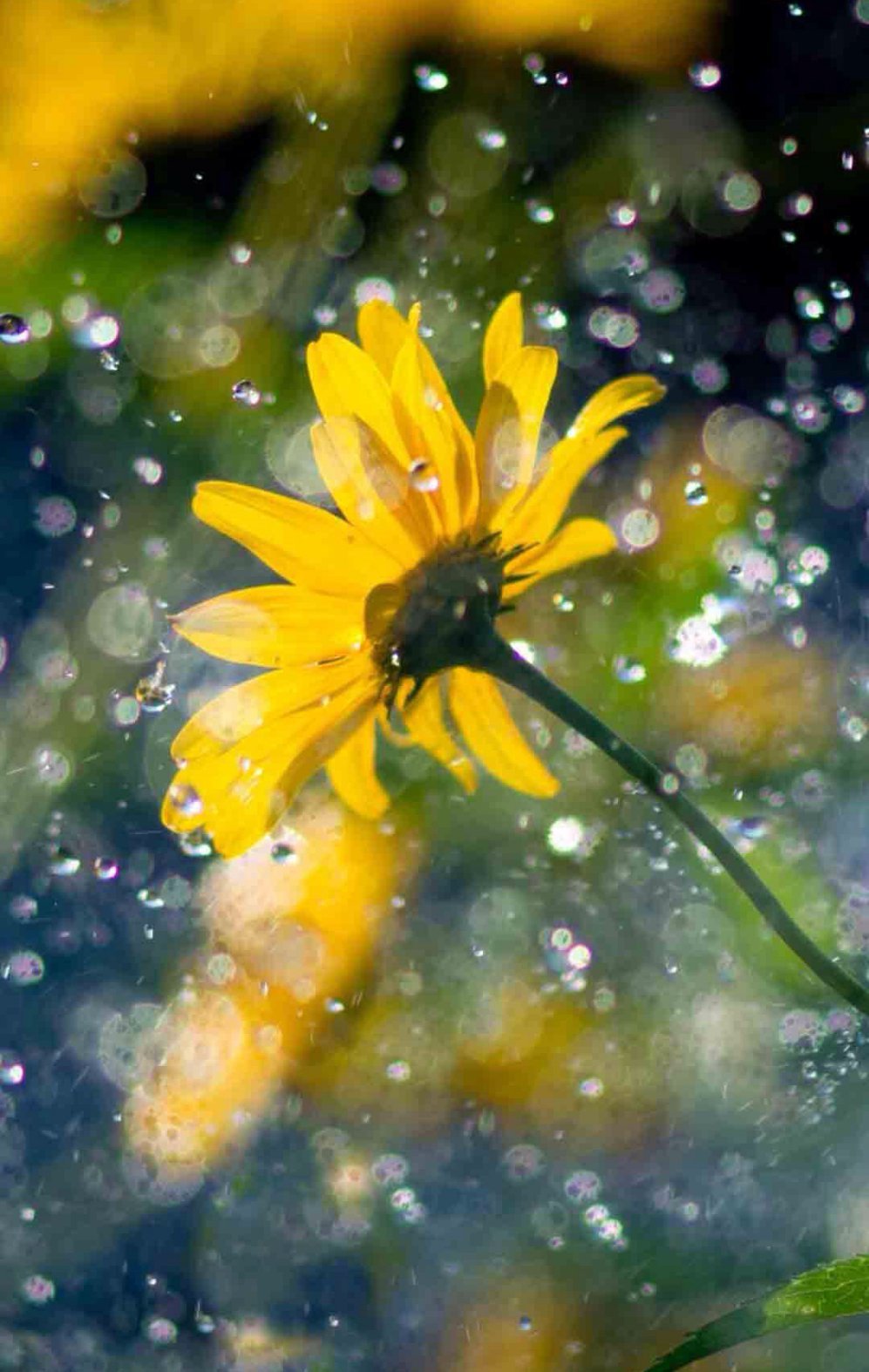 發(fā)朋友圈點贊超多的句子 不要因為生活曲折就成了配角 發(fā)朋友圈點贊超多的句子 不要因為生活曲折就成了配角