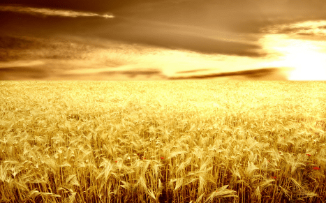 心情很低落說說發(fā)朋友圈一句話 心情很低落說說發(fā)朋友圈一句話