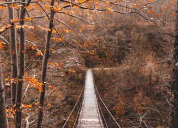 適合女生高冷帶刺的傷感說說大全 適合女生高冷帶刺的傷感說說大全