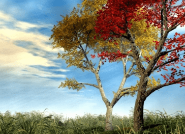 適合發(fā)朋友圈讓人感同身受的傷感語錄(17句) 適合發(fā)朋友圈讓人感同身受的傷感語錄(17句)