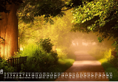 心里難受想哭的說說(16句) 心里難受想哭的說說(16句)