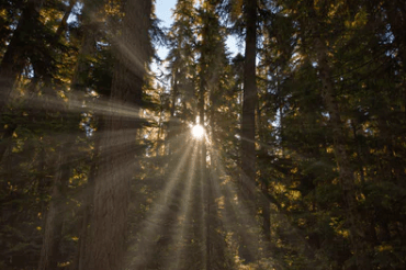 適合朋友圈最扎心的傷感說(shuō)說(shuō)：愿你是陽(yáng)光，明媚不憂傷