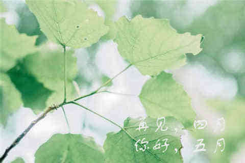 一個(gè)人說說看完哭了那種(74條) 一個(gè)人說說看完哭了那種(74條)