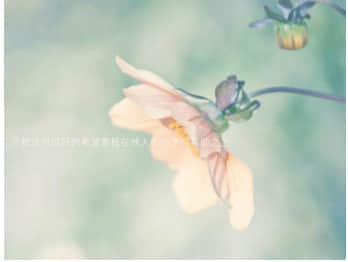 句句戳心的傷感說說(91條) 句句戳心的傷感說說(91條)