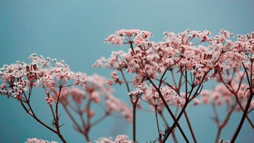 簡短扎心的傷感說說大全(82條) 簡短扎心的傷感說說大全(82條)