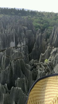 云南石林導(dǎo)游基礎(chǔ)知識(shí)