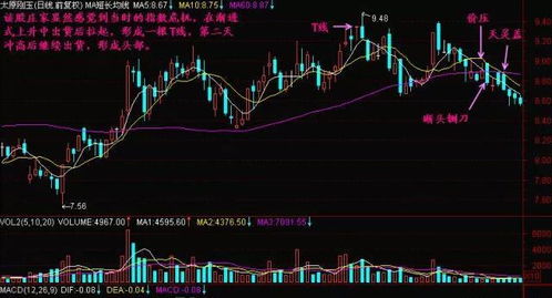 股票入門基礎(chǔ)知識t1