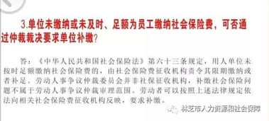 仲裁,基礎(chǔ)知識,人事,專業(yè)