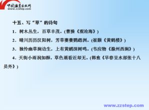 語文基礎(chǔ)知識及應(yīng)用教案
