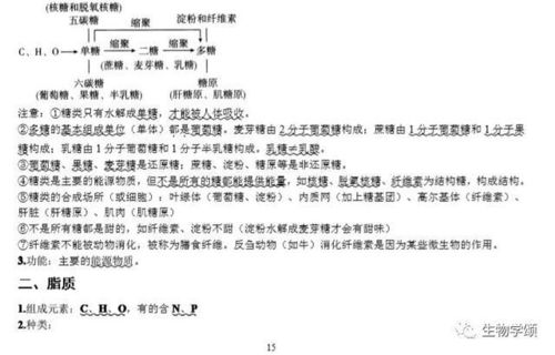 人體與性基礎(chǔ)知識—結(jié)業(yè)論文